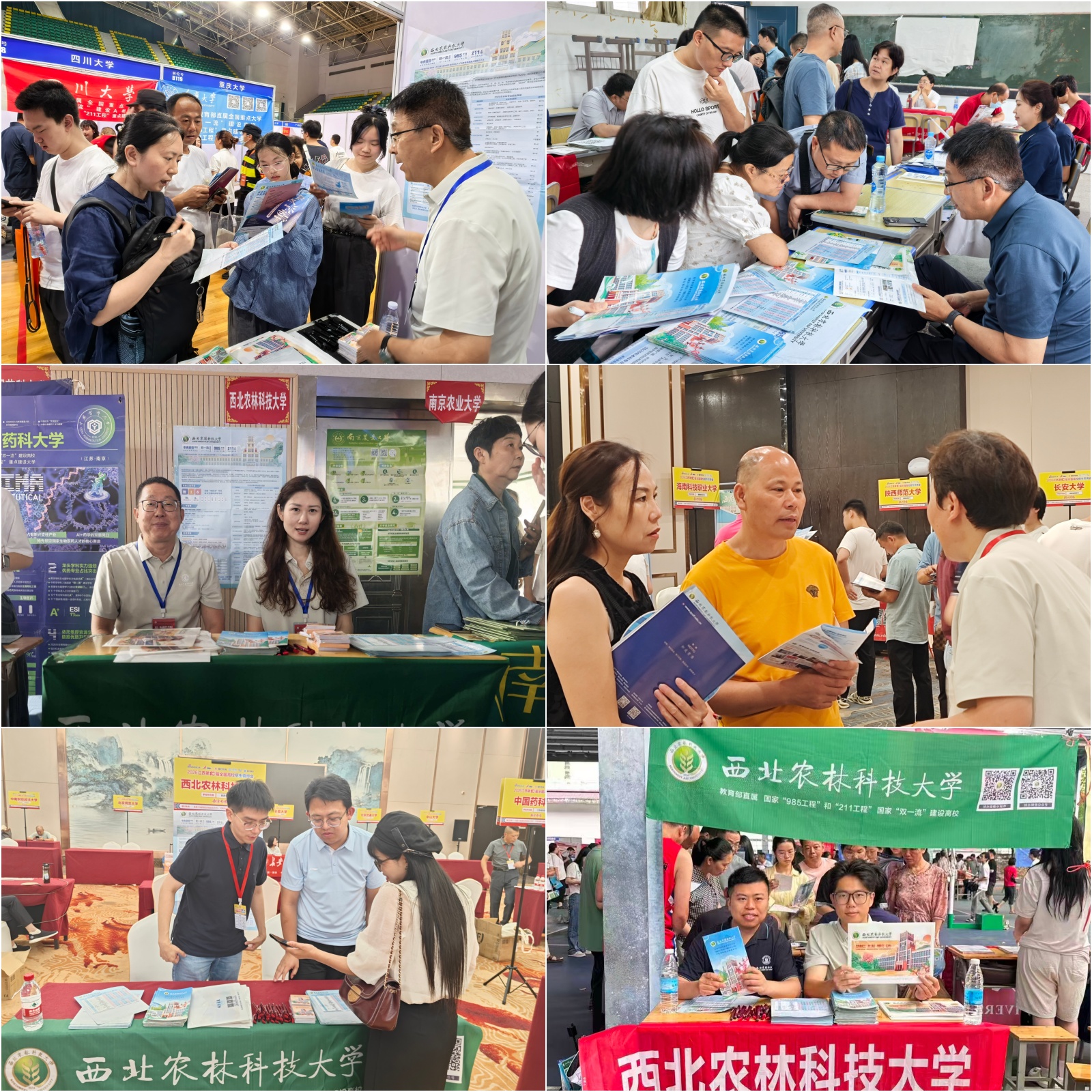 各咨询会现场盛况.jpg