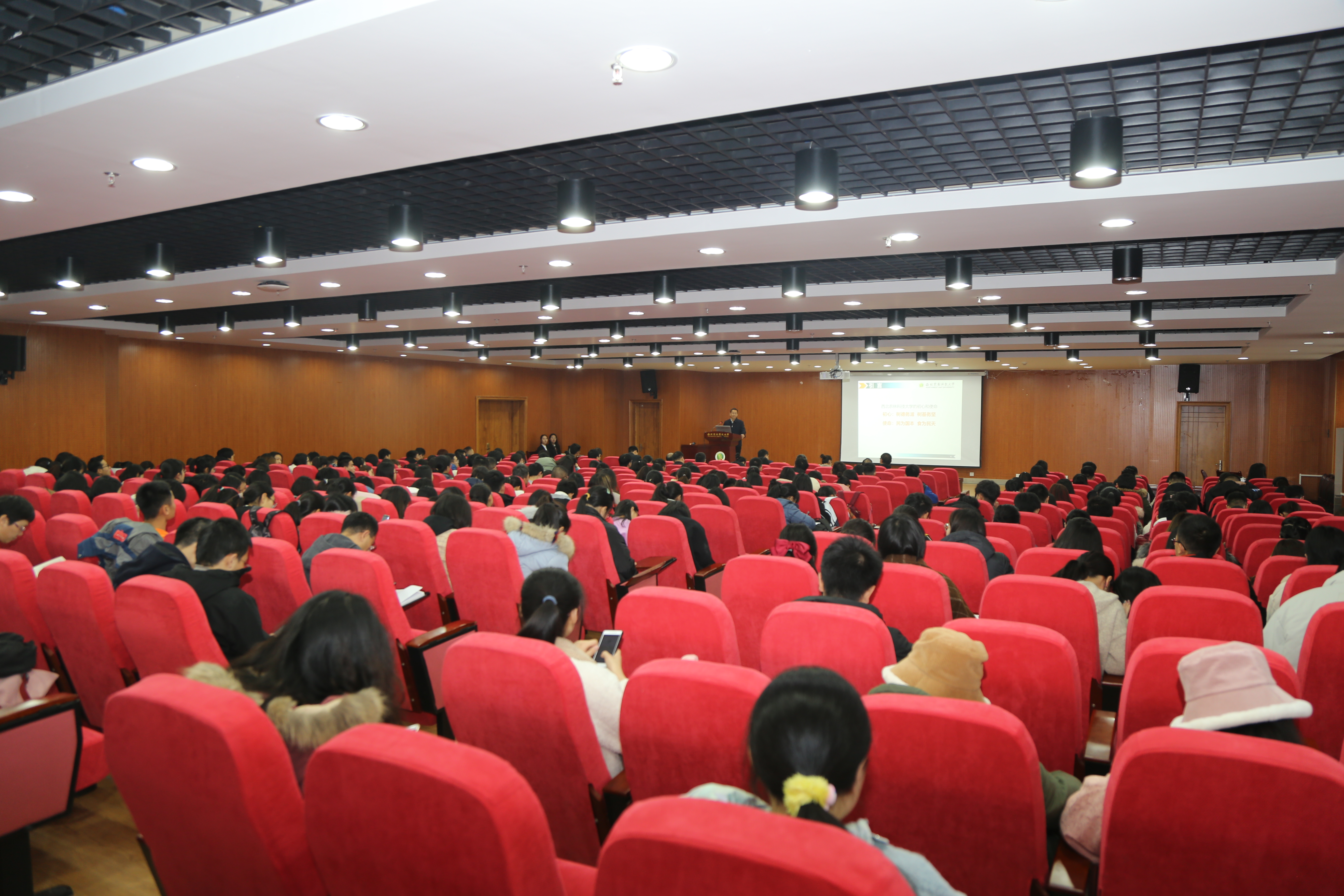 8ac6ac731ae64e44a8609a47bf762c18.jpg