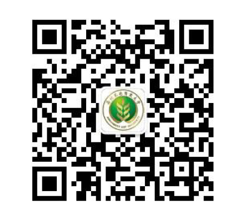 60e4afa6e8e64015ad30bfd17084cfa2.png