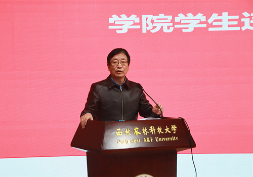 王有强总结发言_副本.jpg