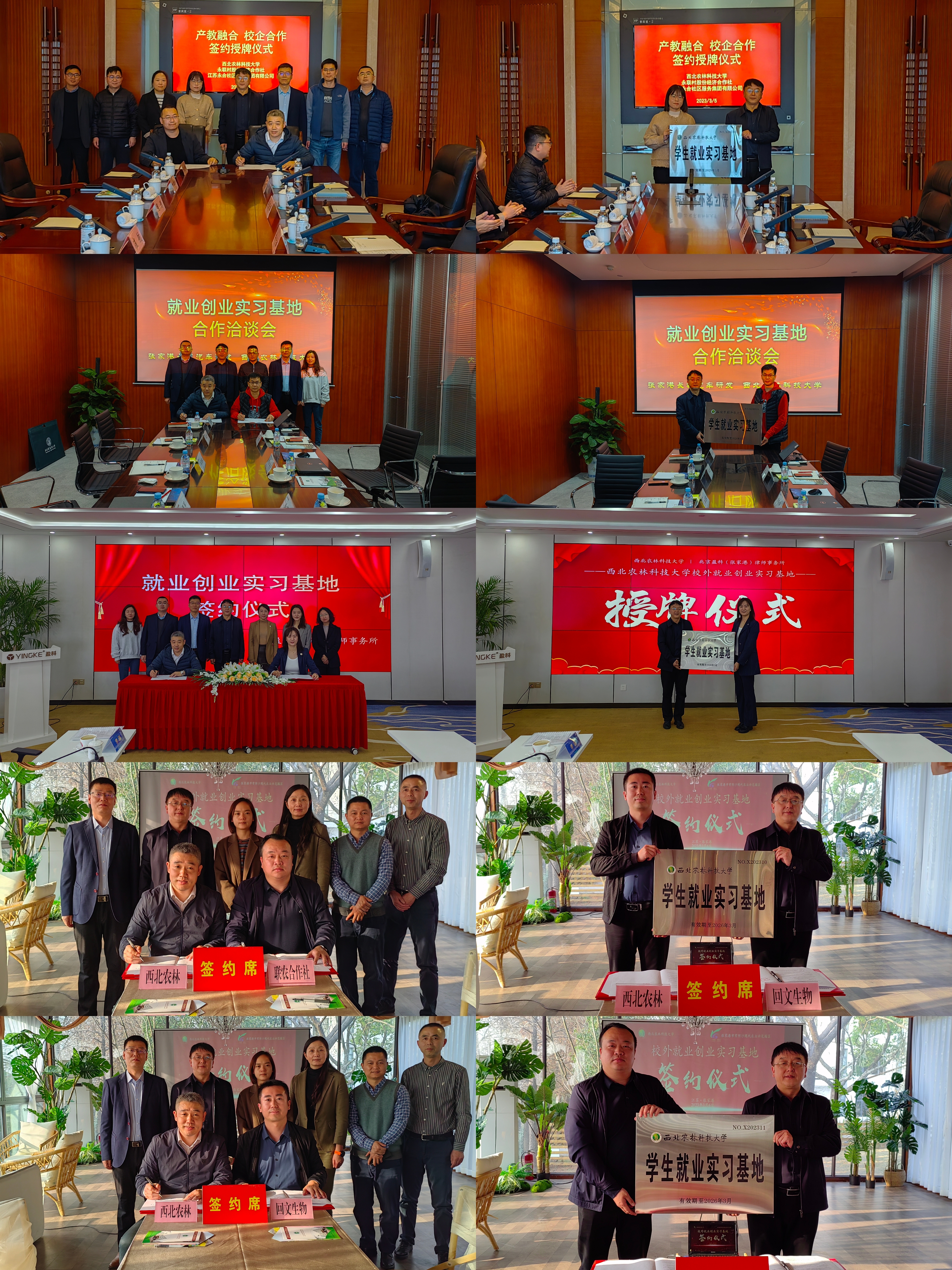 a0fb4d3516694b7eb1d4d25113cbb344.jpg